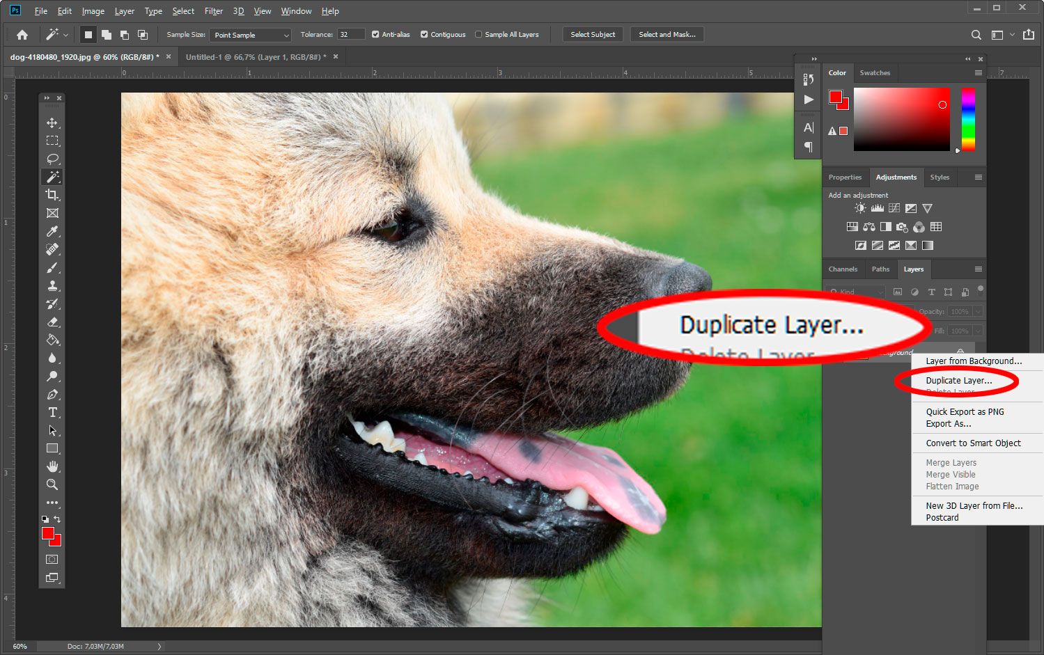 Duplicate Layer in Photoshop..