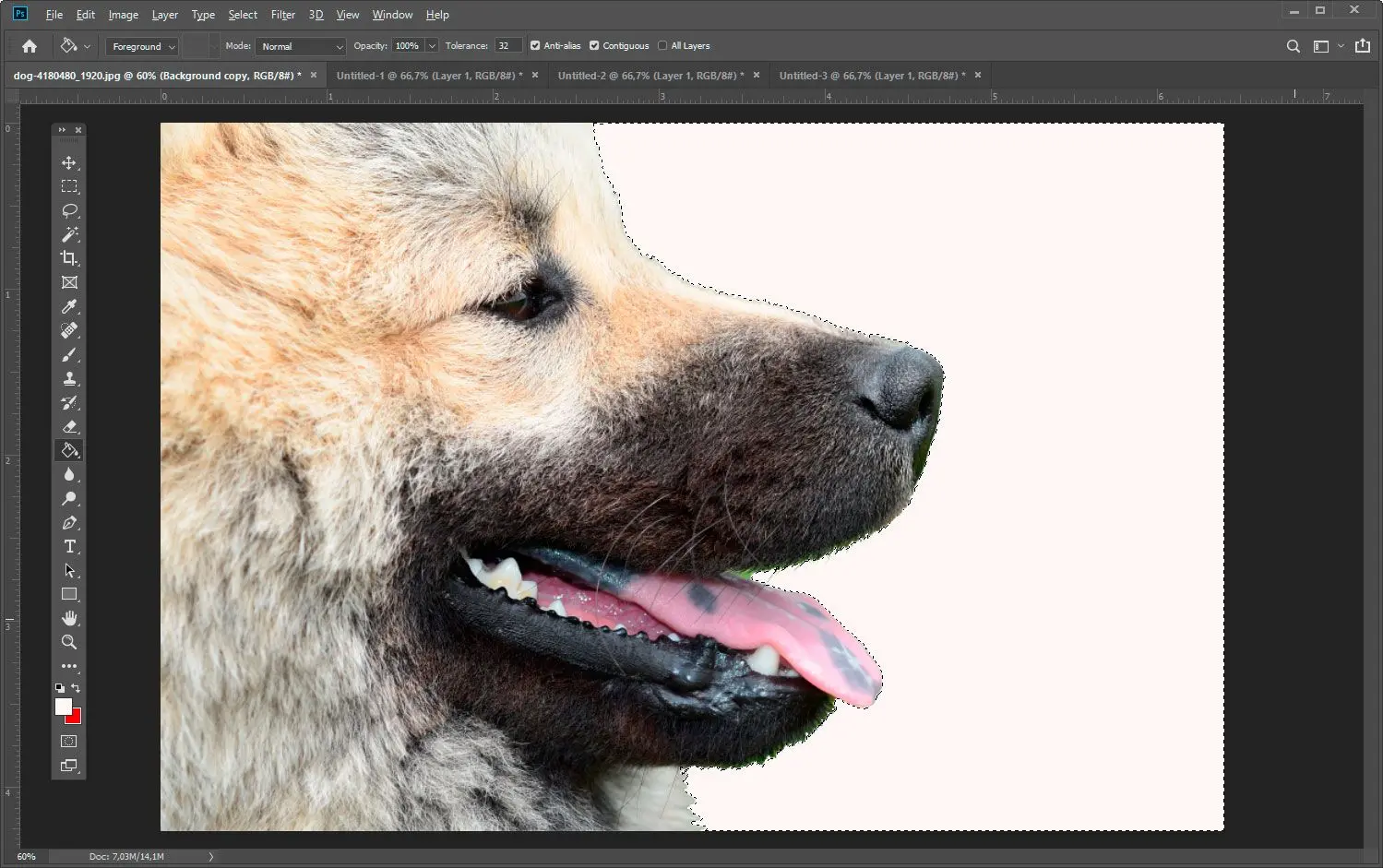 Use Image option..