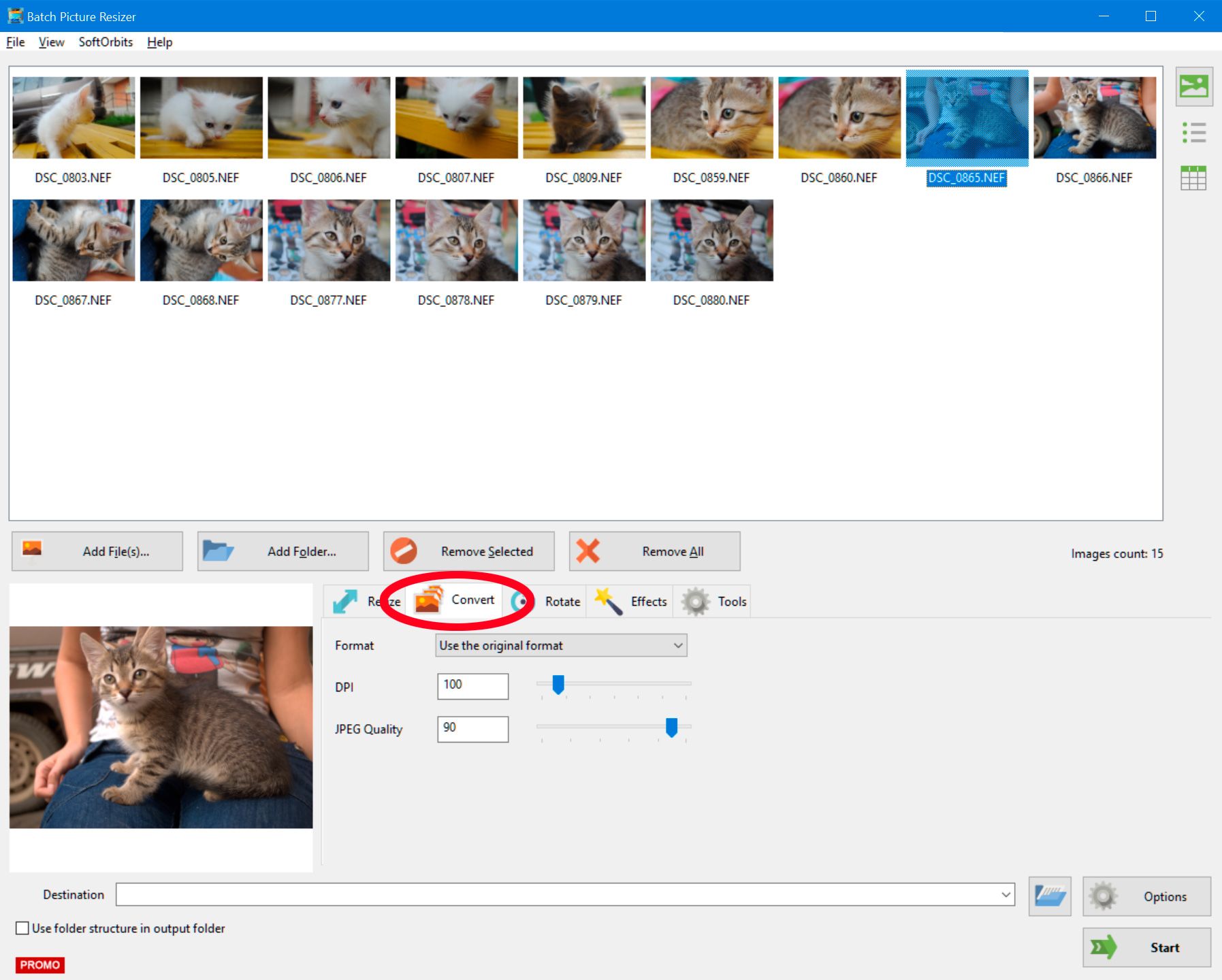 Batch convert raw to jpeg..
