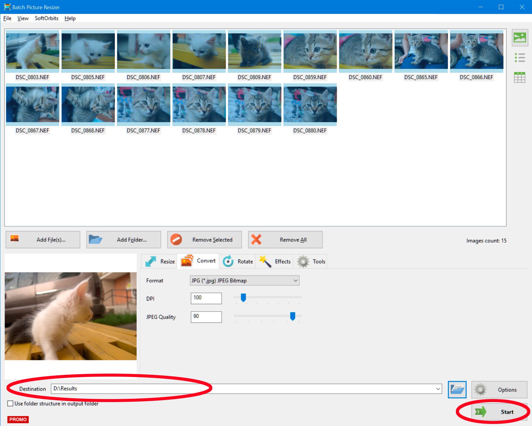 How to batch convert raw to jpeg..