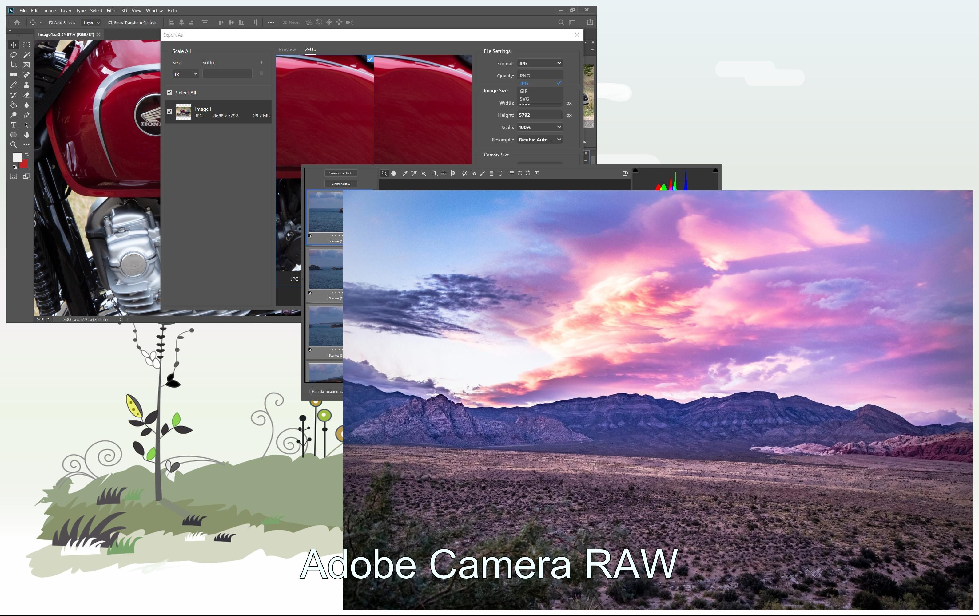 Adobe Camera RAW..