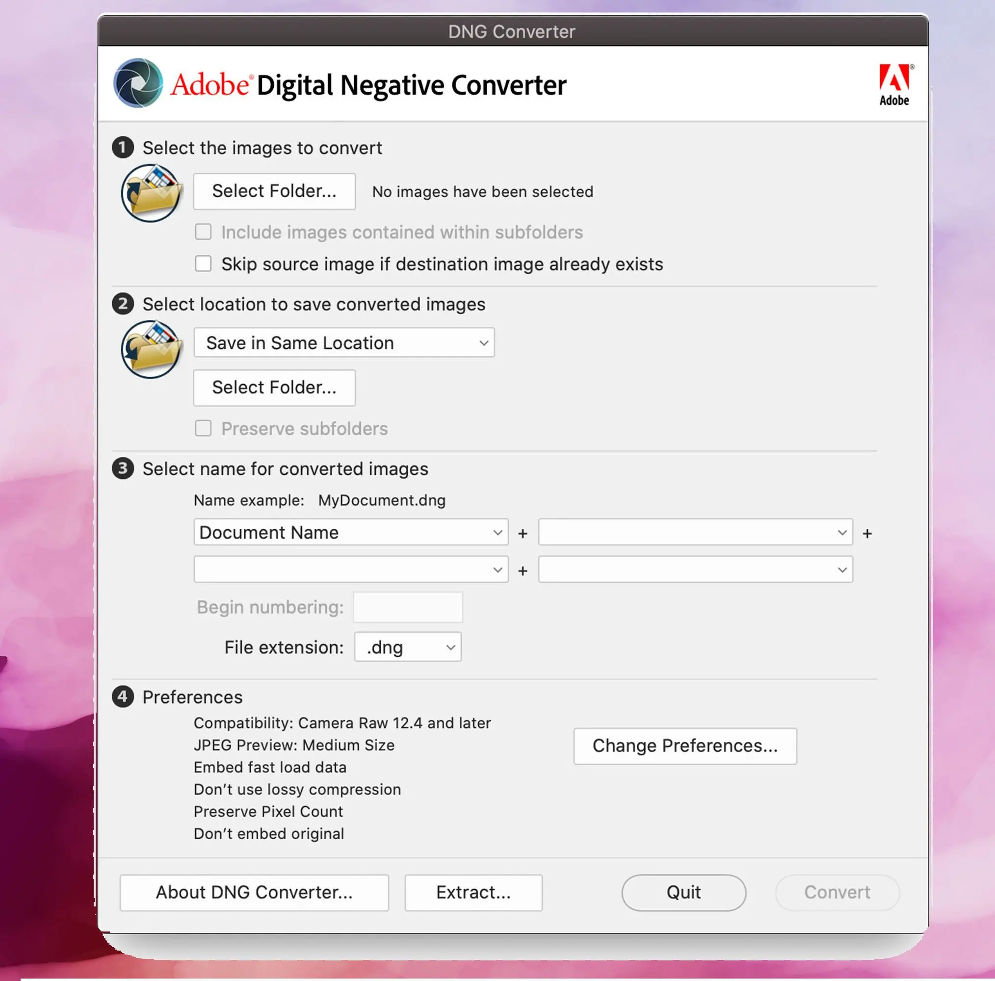 Adobe DNG Converter screenshot, Convert DNG Images to JPEG..