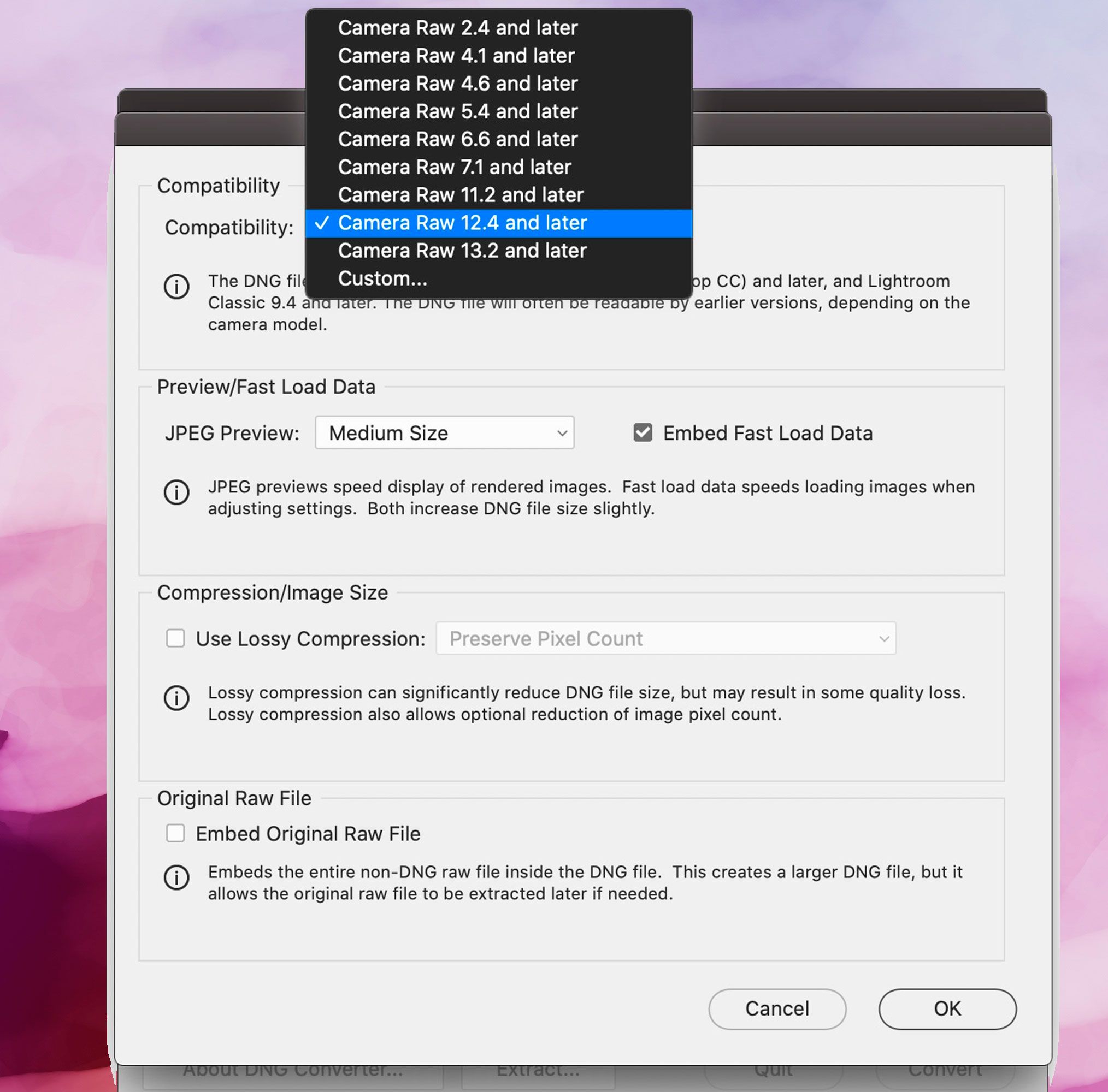 Adobe DNG Converter screenshot, Compatibility Preferences..
