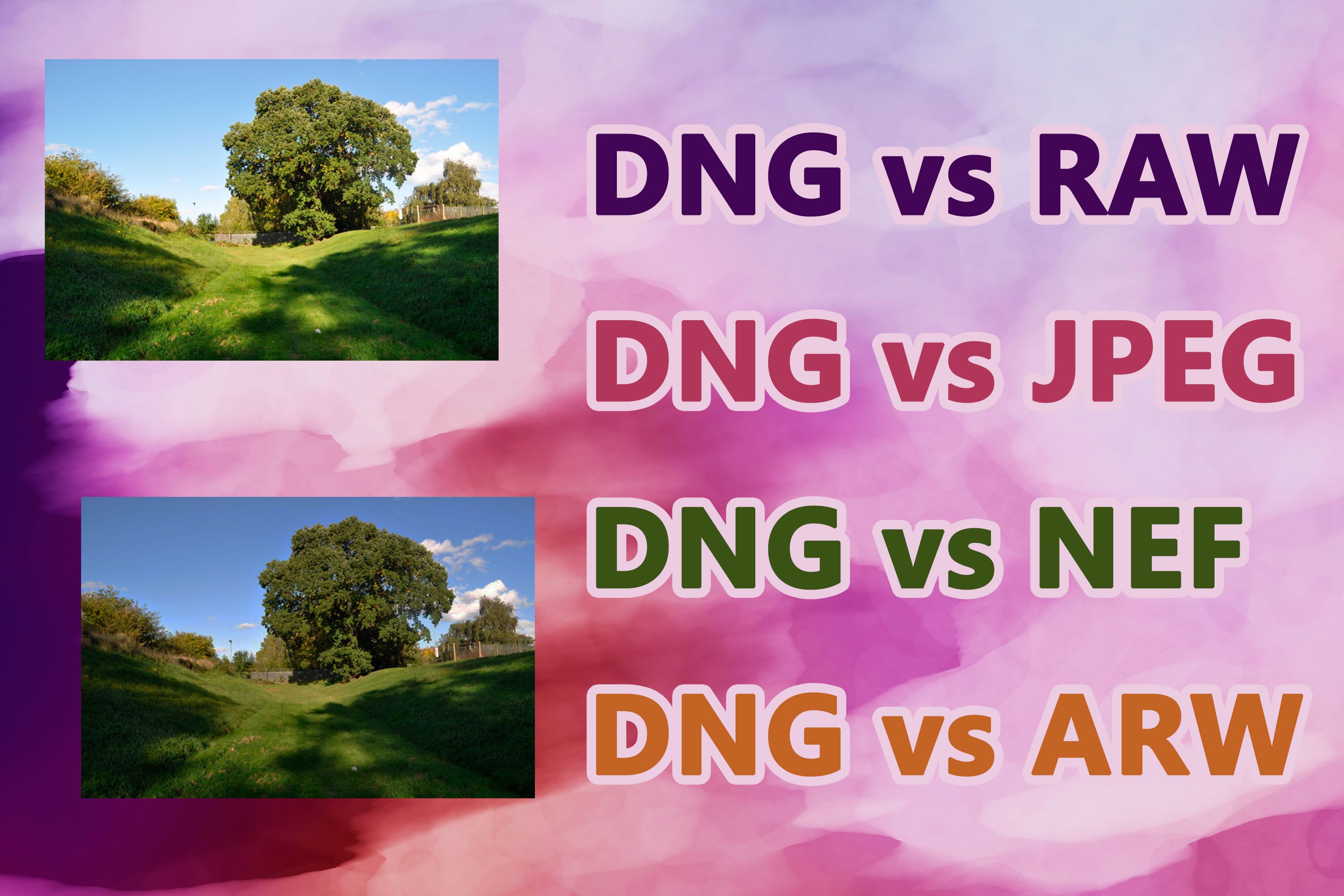 DNG vs RAW formats..