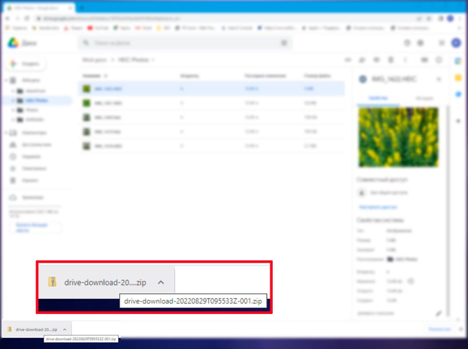 Convert HEIC To JPEG On Google Drive Easy Way convert-heic-to-jpeg-on-google-drive-easy-way