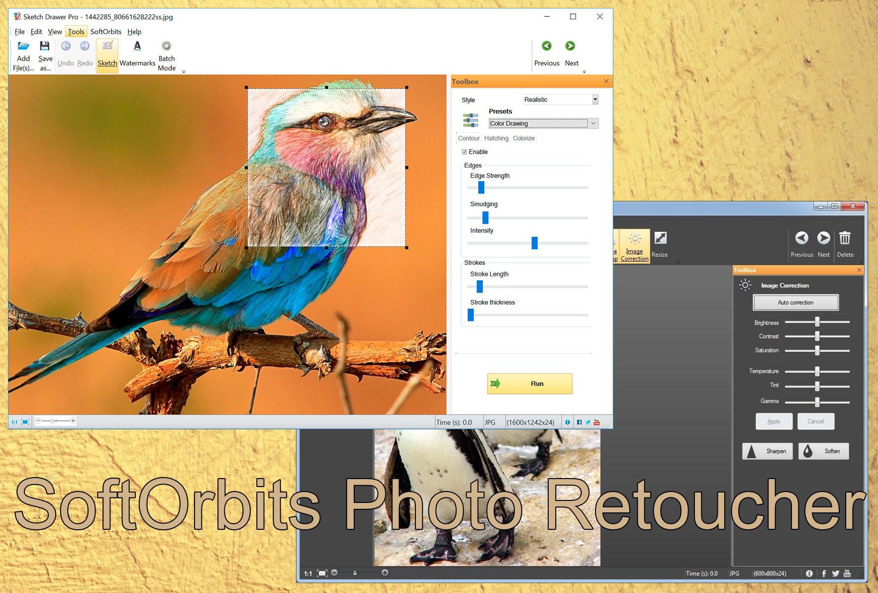 SoftOrbits Photo Retoucher..