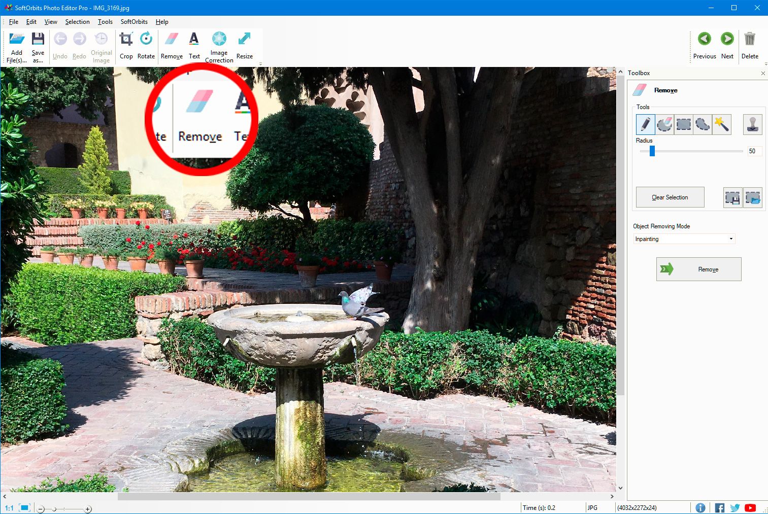 SoftOrbits Photo Editor Screenshot.