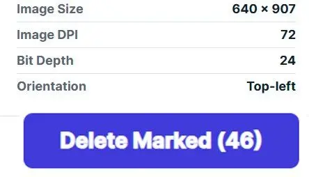  Delete Marked button with the number of marked duplicates..