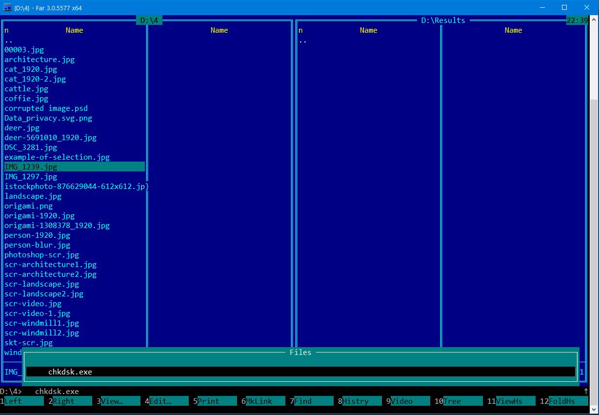 CHKDSK command to recover damaged jpeg..