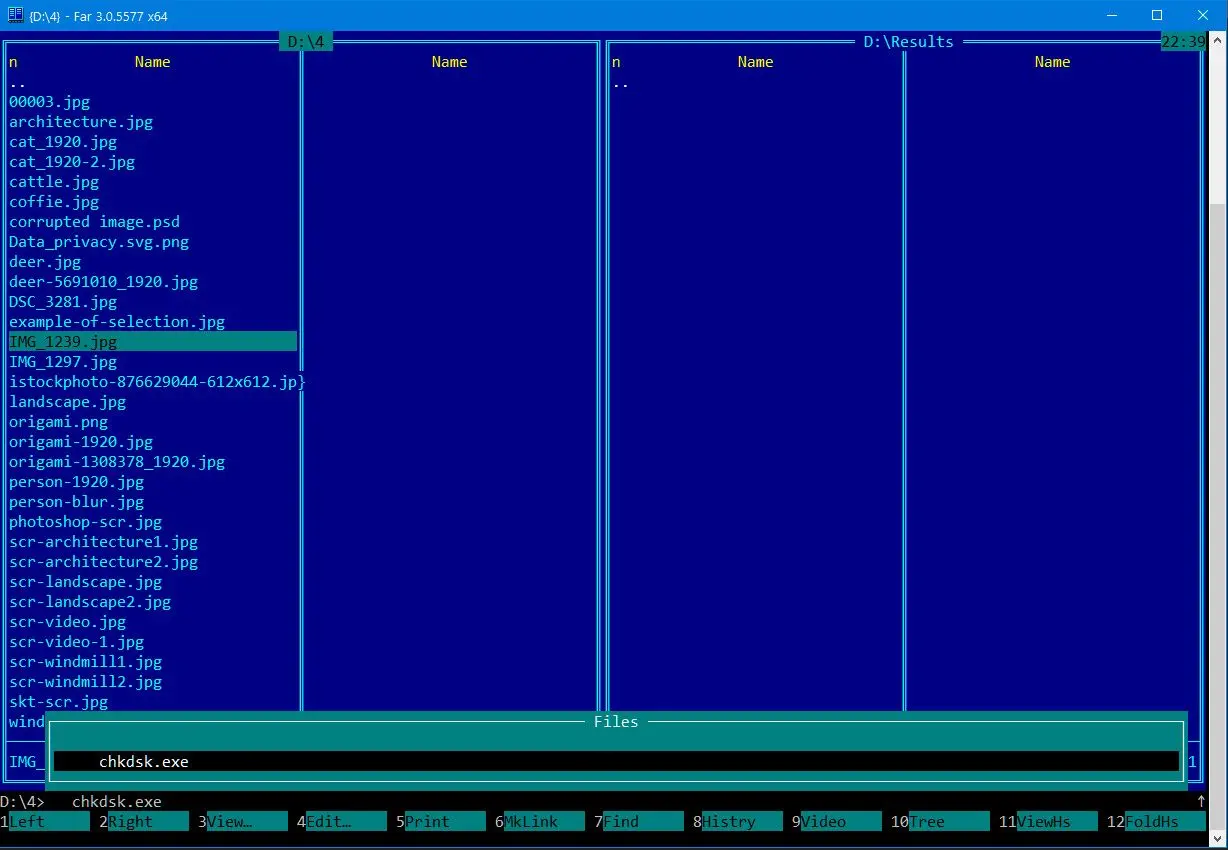CHKDSK command to recover damaged jpeg..