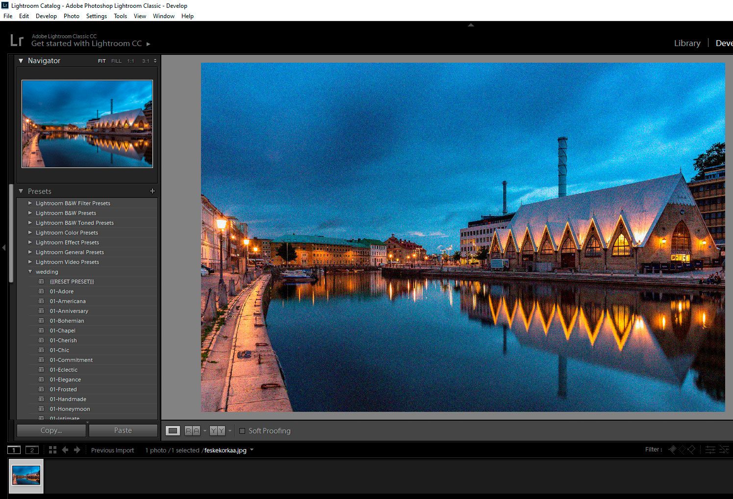 Fix Grainy Photos in Lightroom..