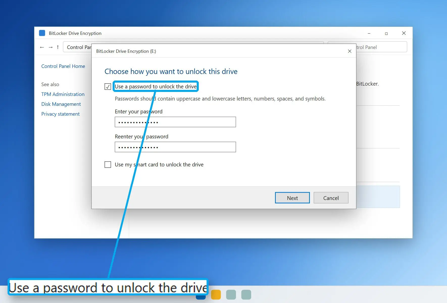  BitLocker To Go wizard with the password option ticked..
