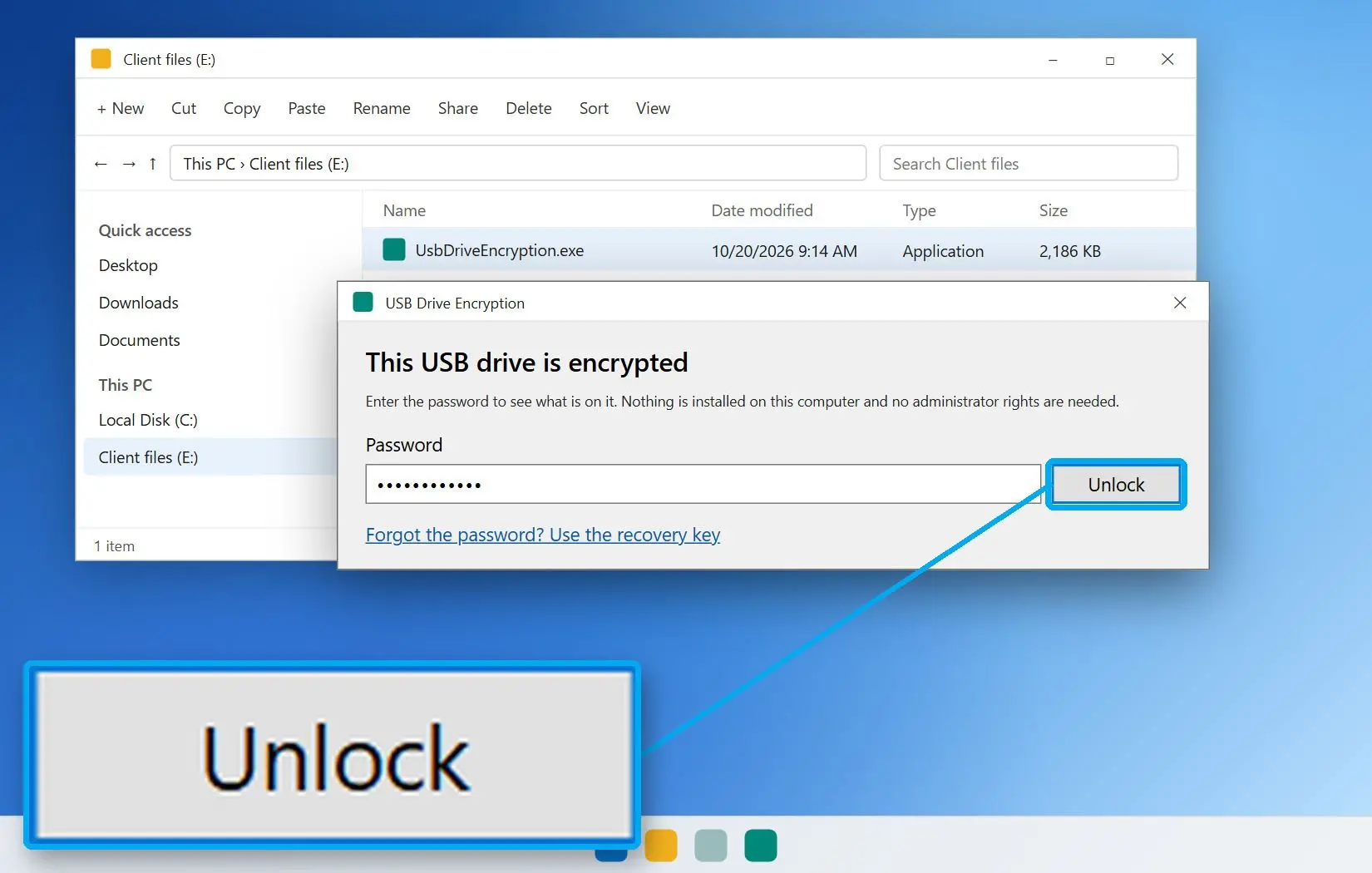  Portable opener on another Windows PC asking for the password of the encrypted USB drive..