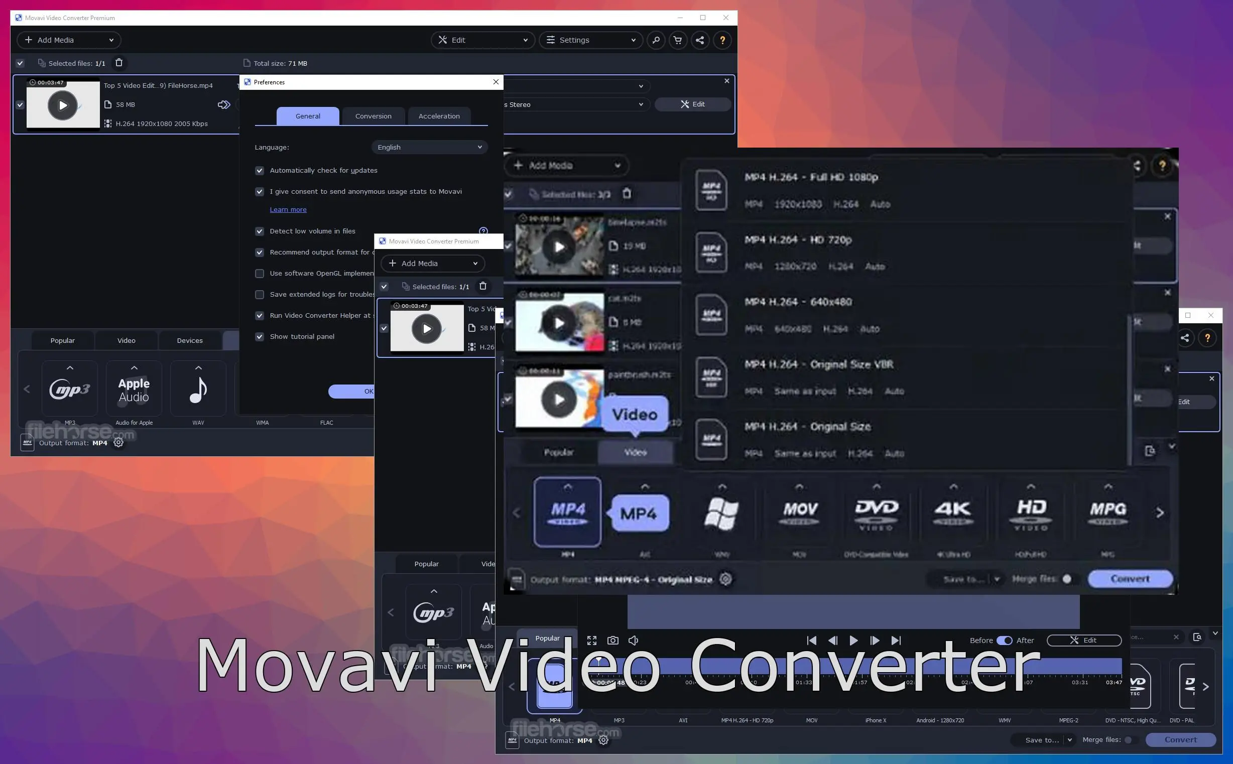 Movavi Video Converter..