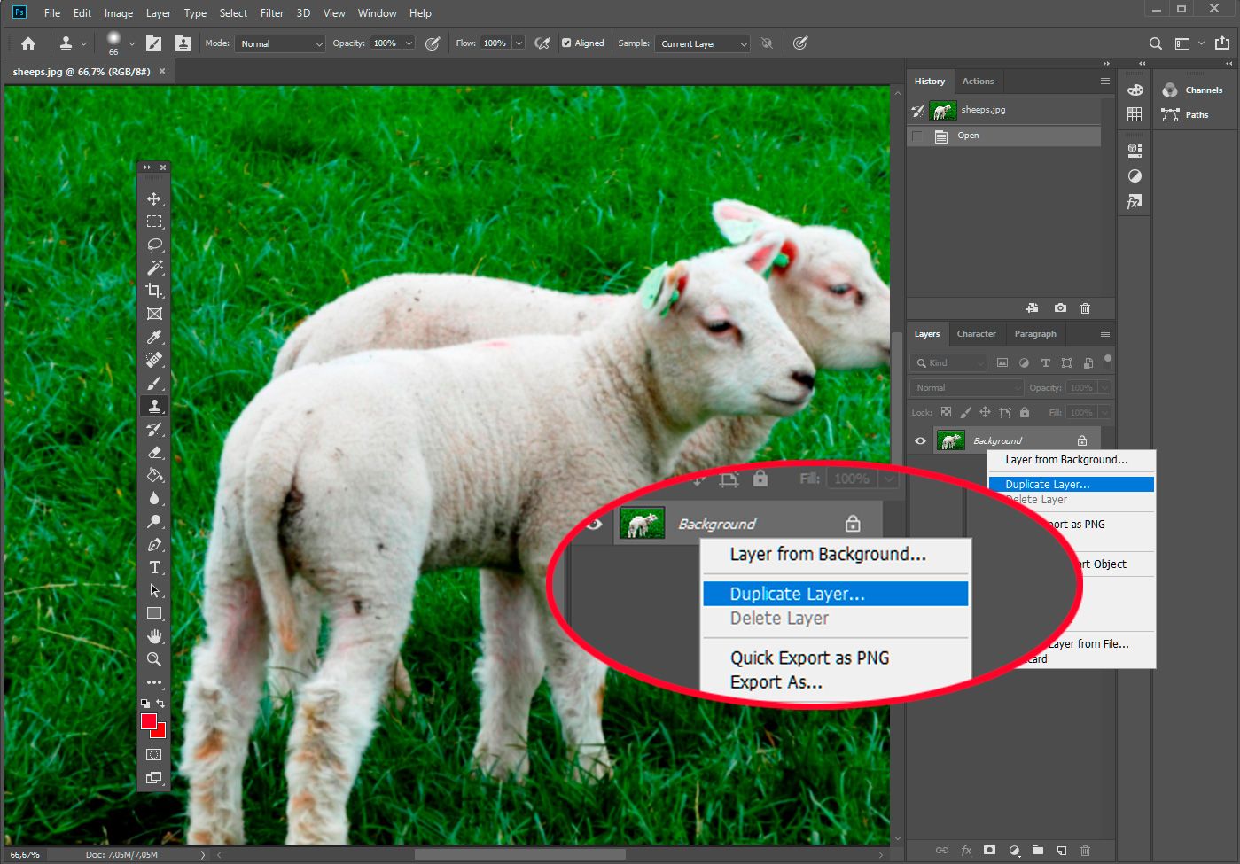 Duplicate blurred image layer Photoshop..