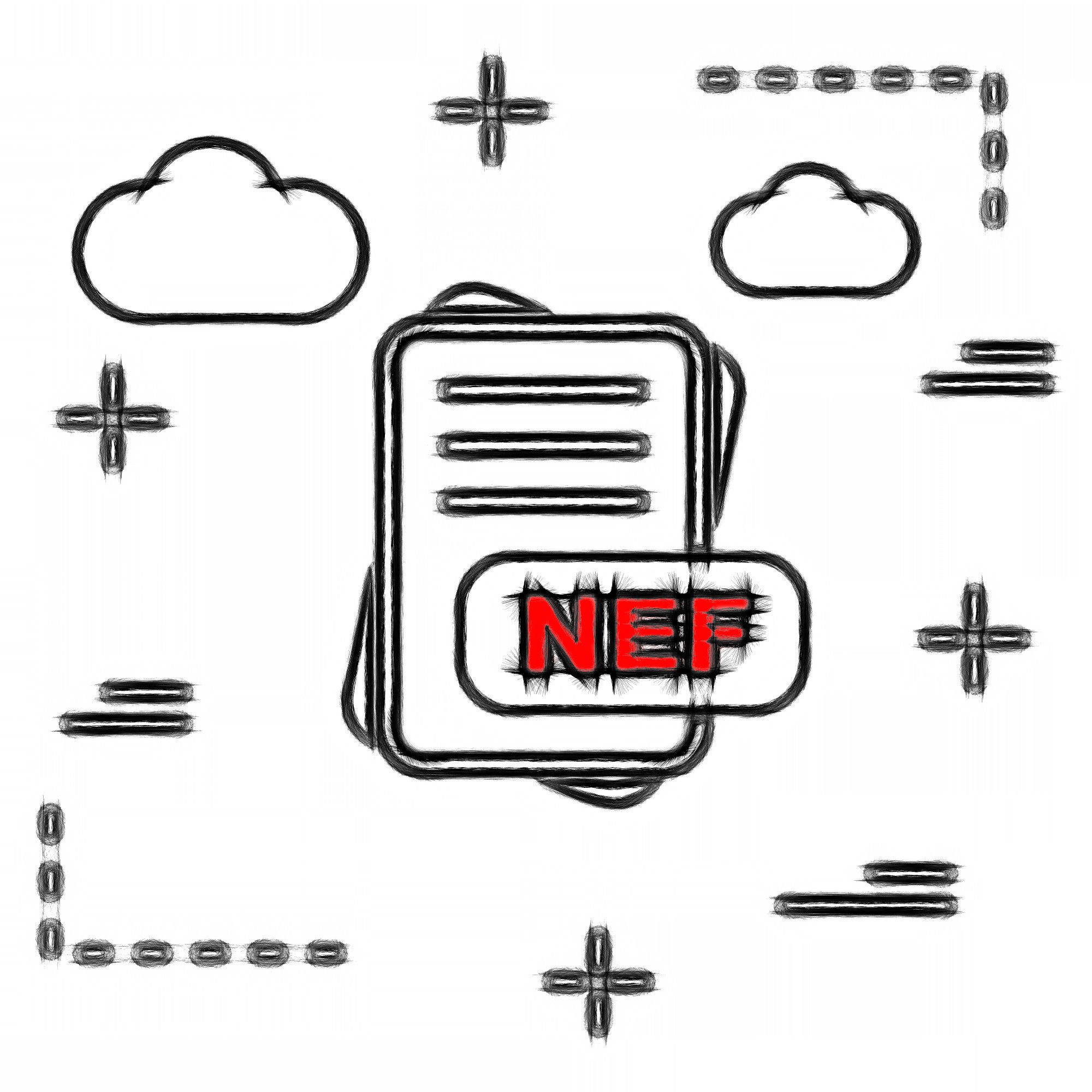 NEF file format..
