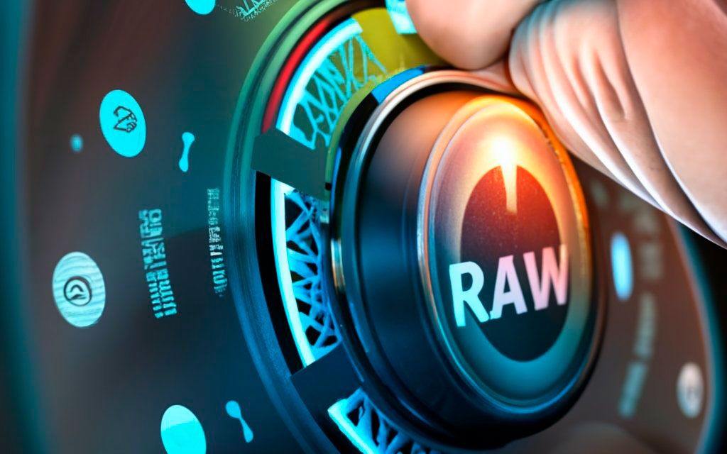 Nikon RAW Converter..