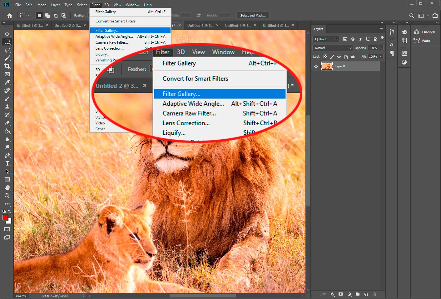 Select photoshop filter gallery..