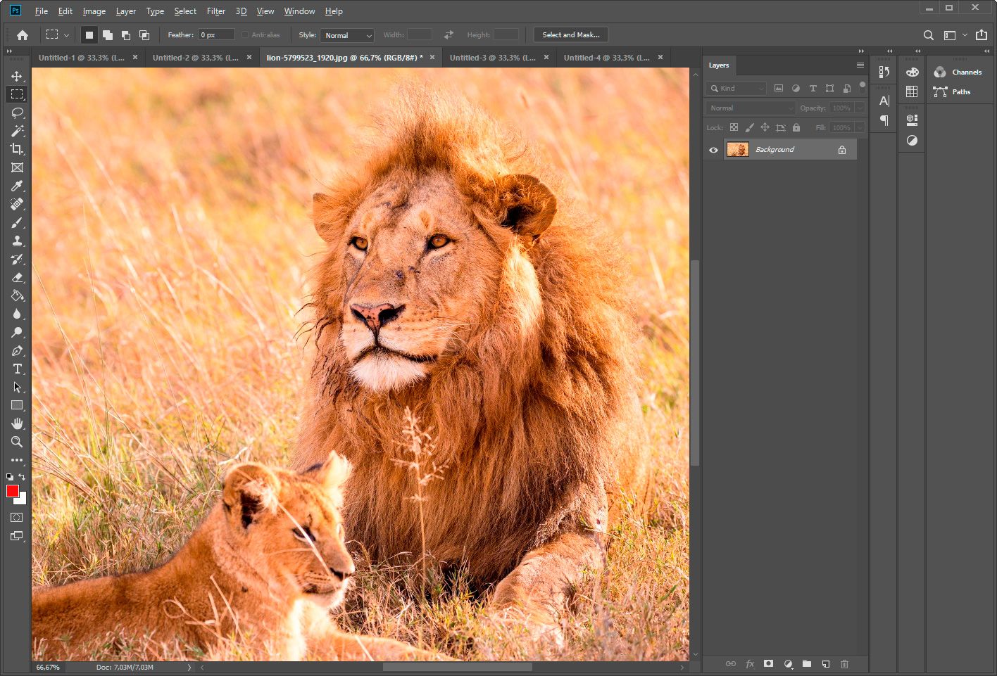 Add file in Photoshop..