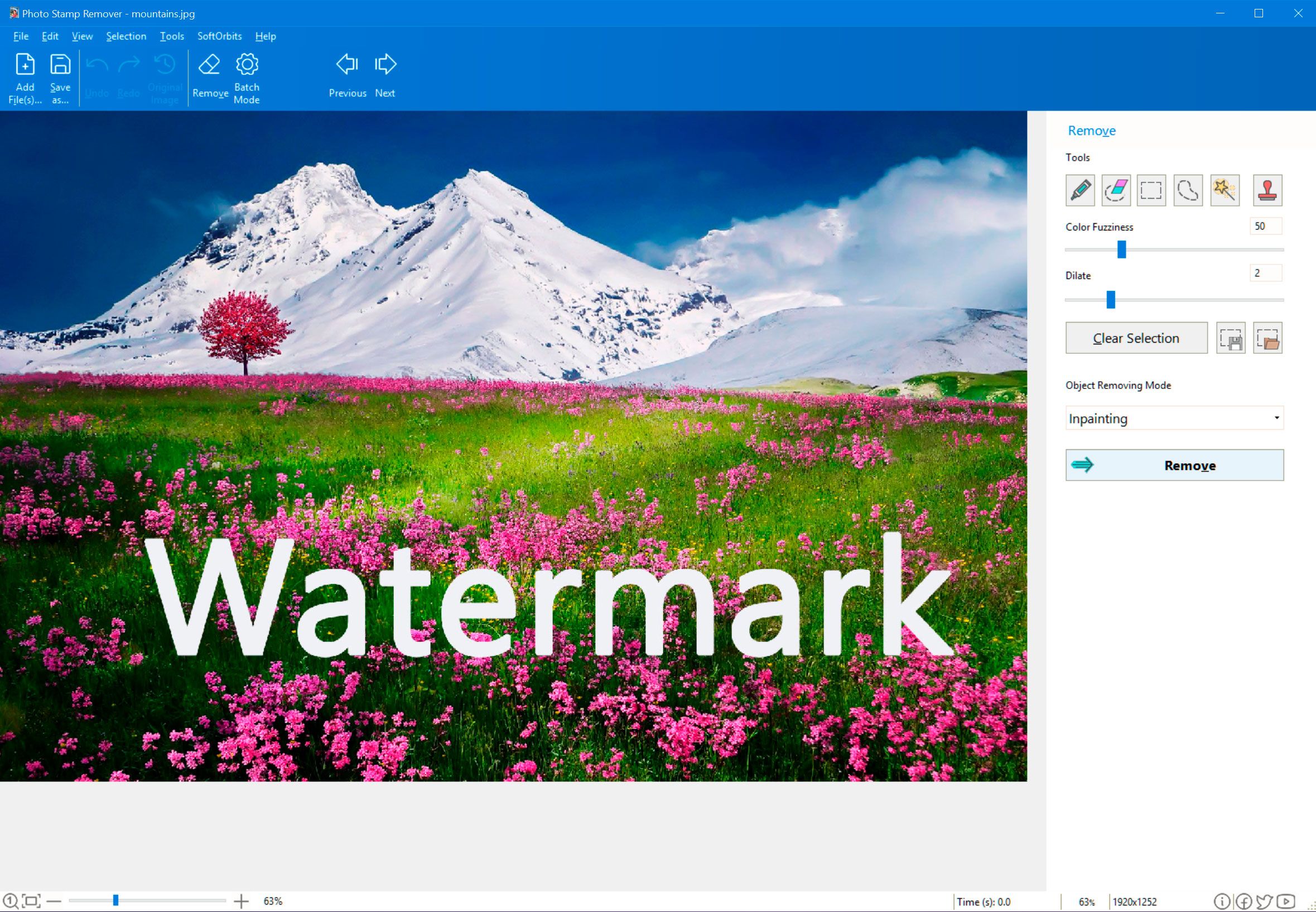 How to Remove Adobe Stock Watermark..