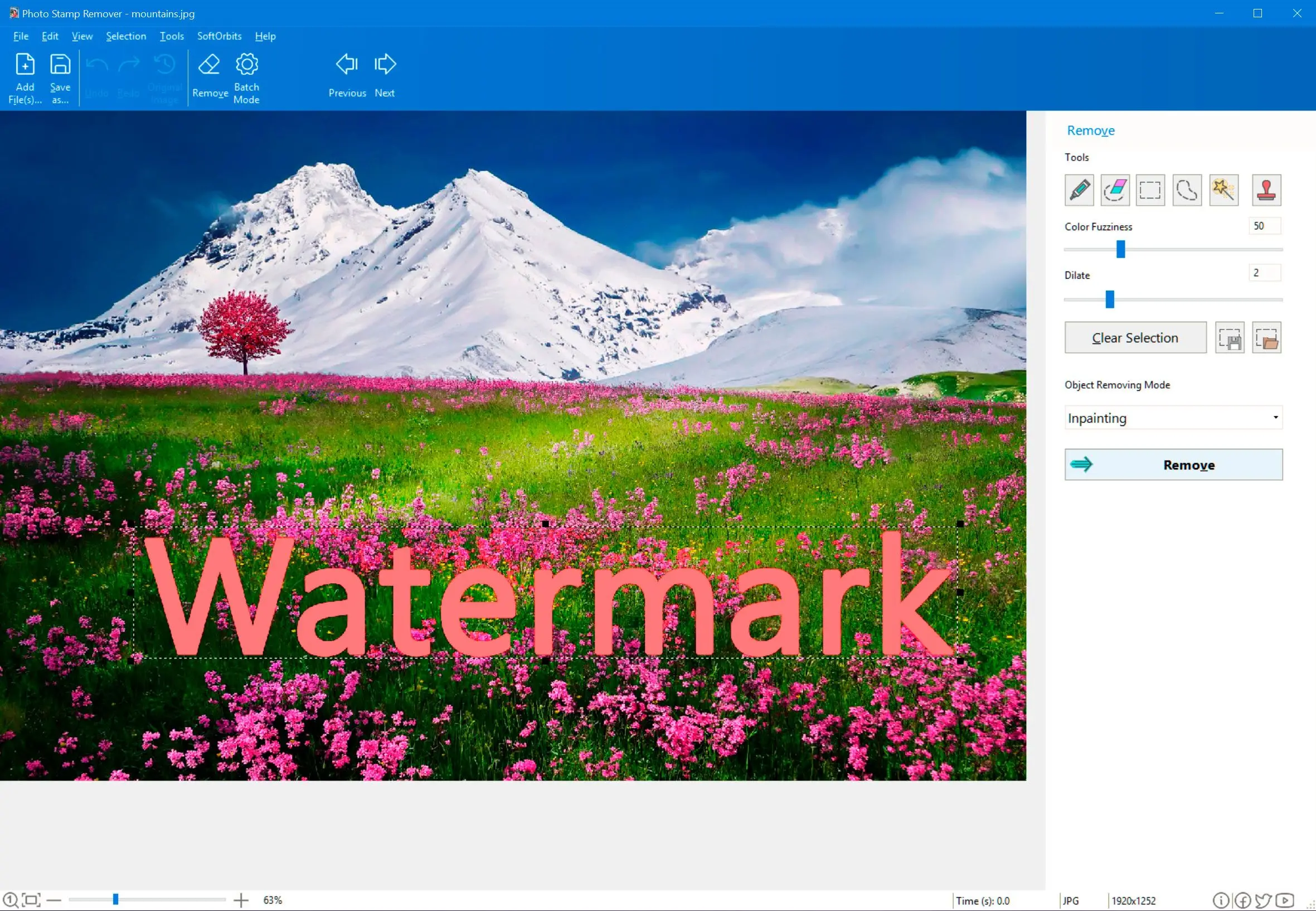 Marker tool to Remove Adobe Stock Watermark..