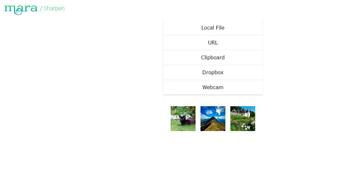Upload the image to the online Mara editor..