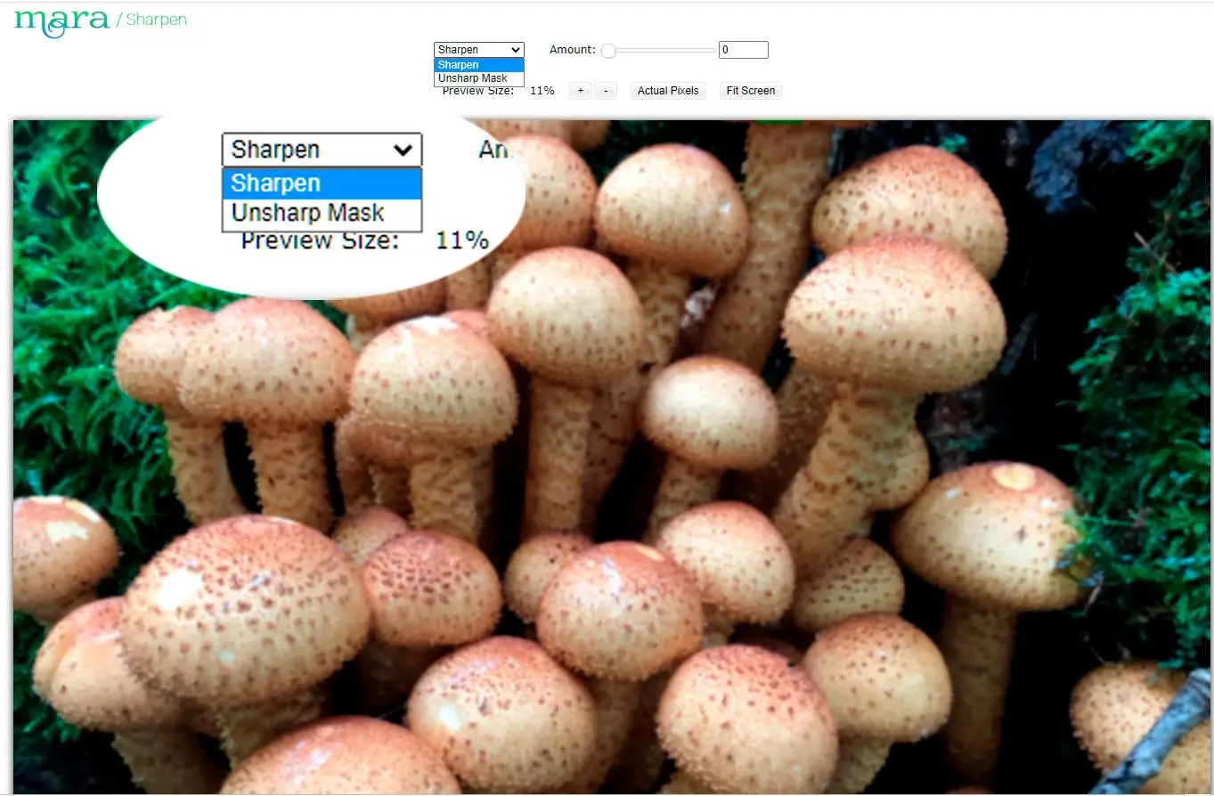 Adjust the sharpness in the online Mara editor..