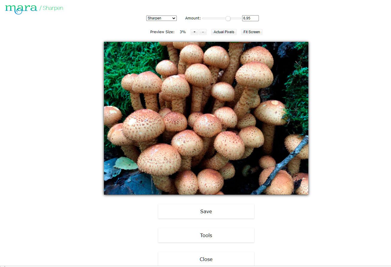 Save a result in online Mara Sharpen editor..