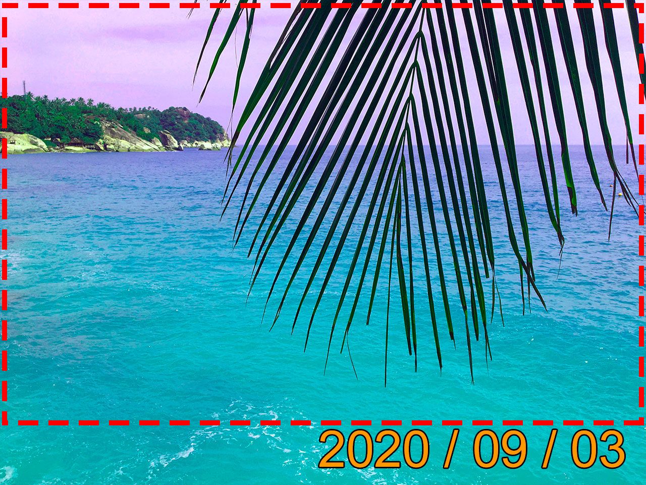 How To Remove Date From Photo Free Download