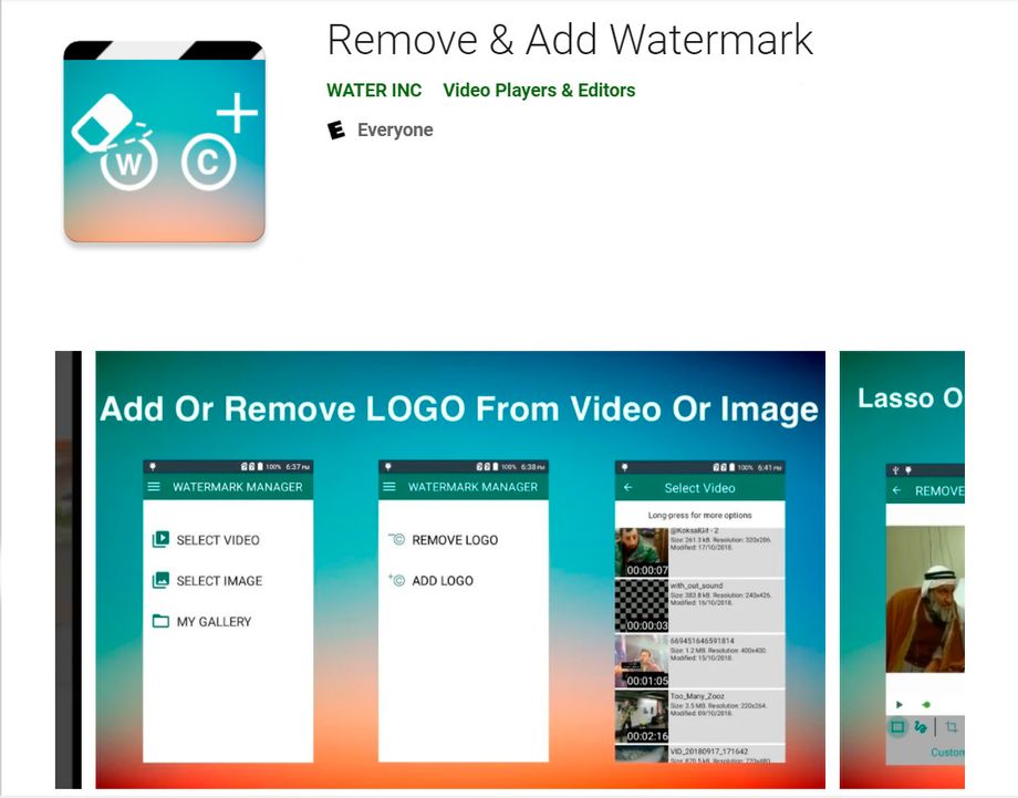 Easy Video Logo Remover Software Free Download