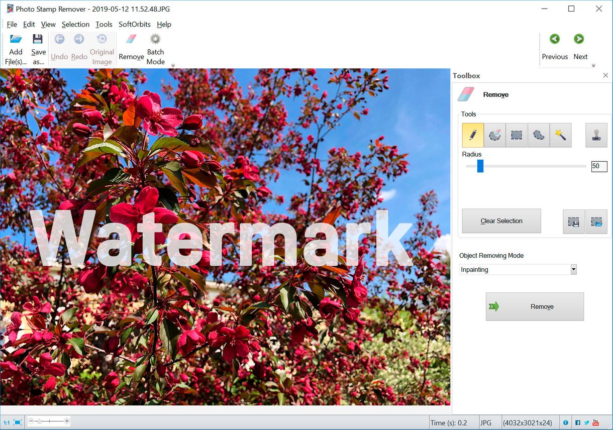 How to remove manycam watermark for free