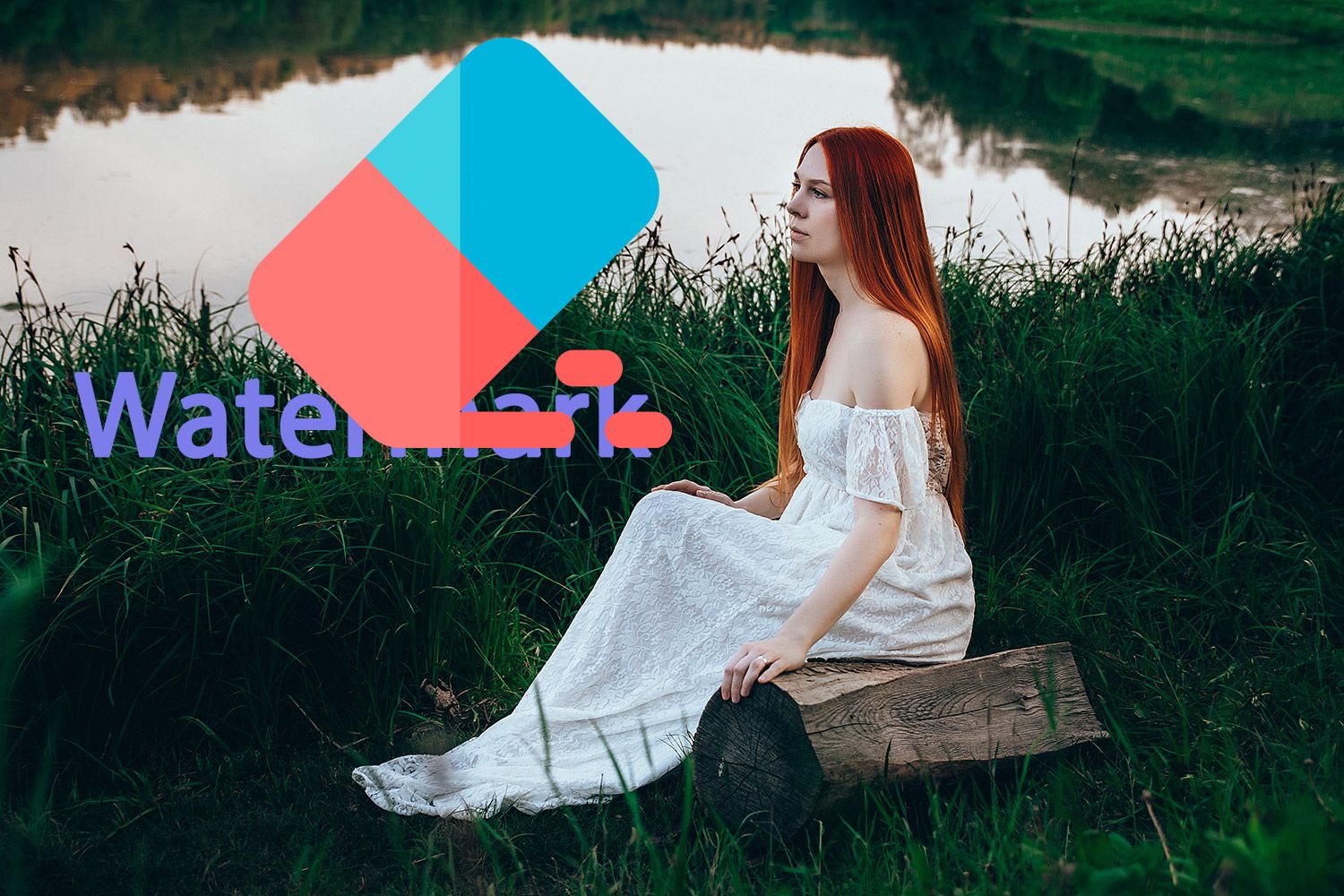 Remove watermark from photo..