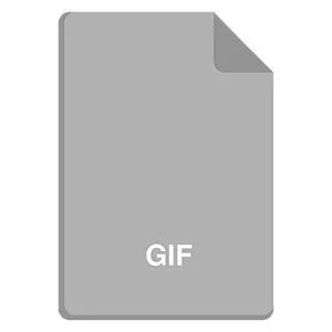 Gif image type icon..