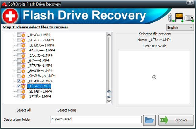 File that can be recovered..