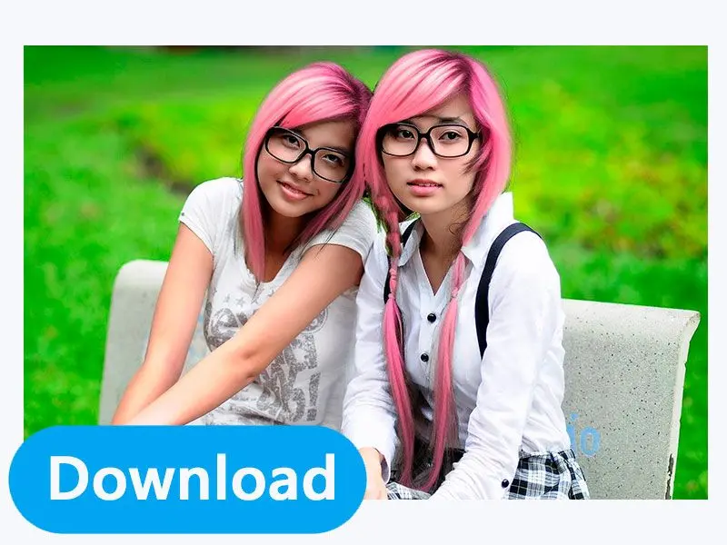 Download Your Modified Image.