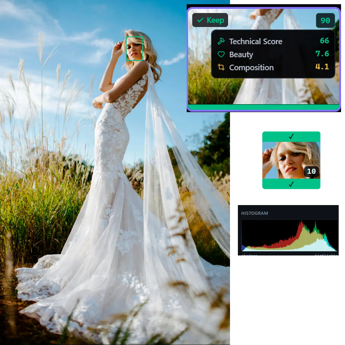 One rating per shot: quality, beauty and composition.