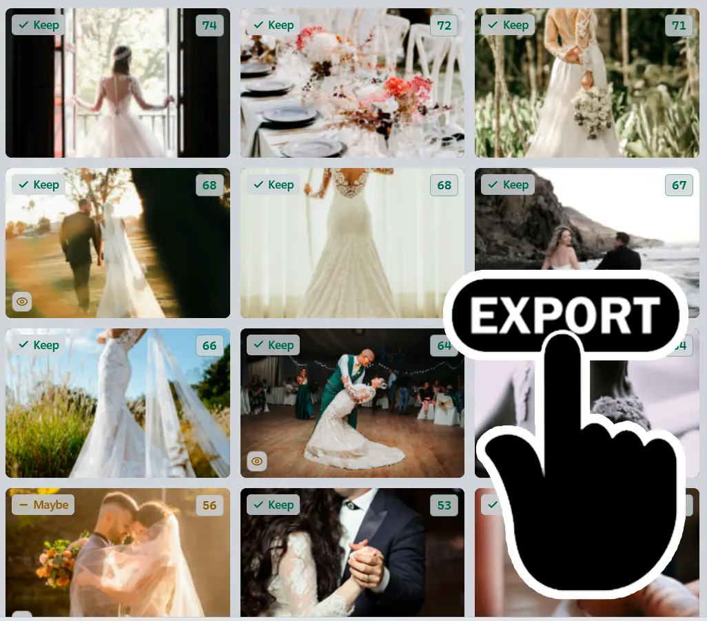 Export results.