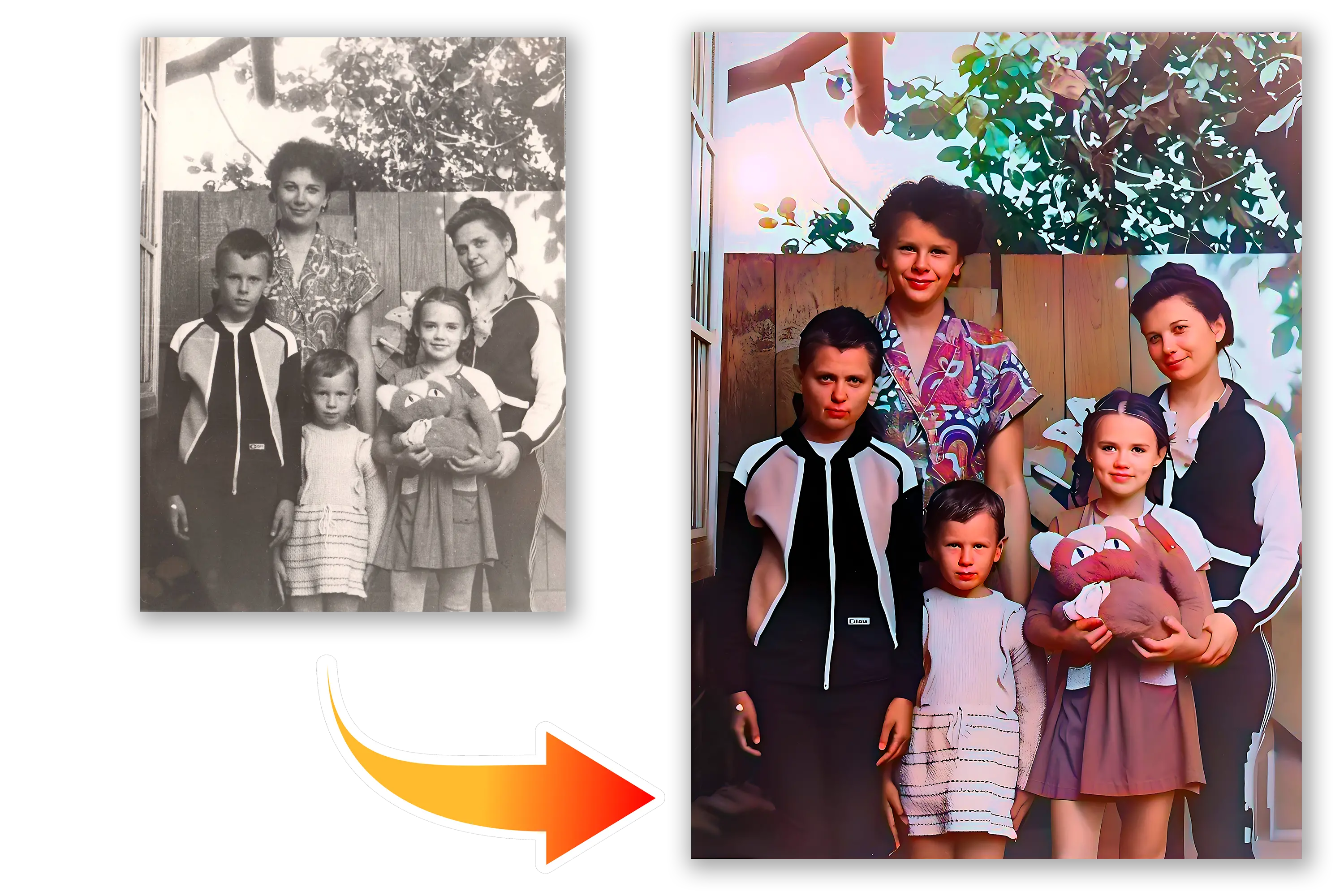 Old Photo Restoration.