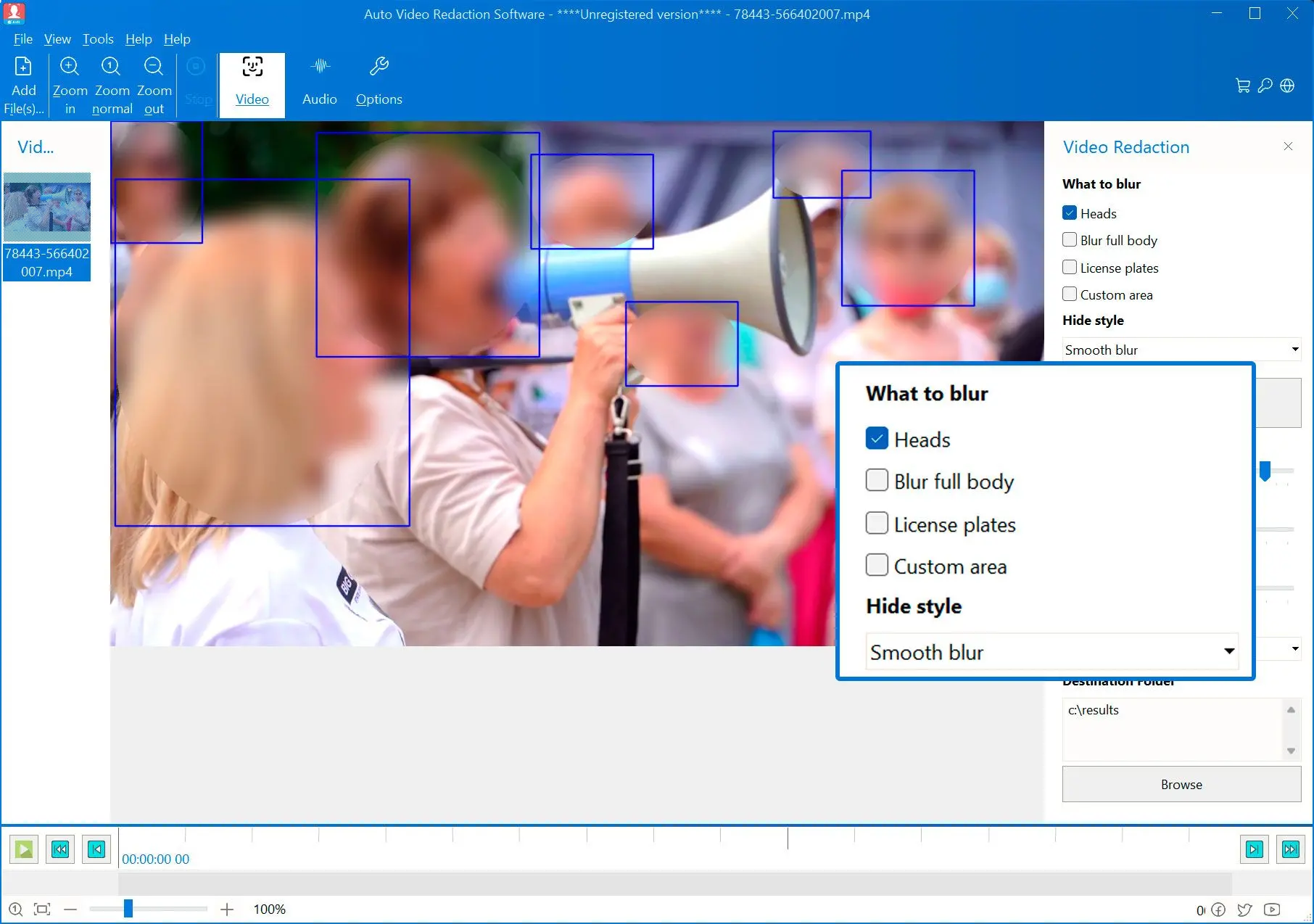 Choose auto-detection options: Faces, Heads, Bodies, Plates.