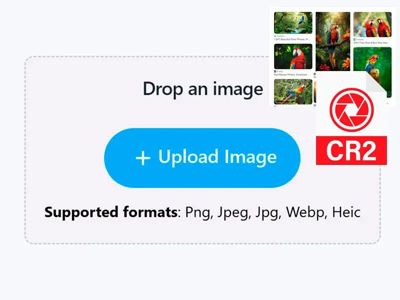 Add Your CR2 Files.