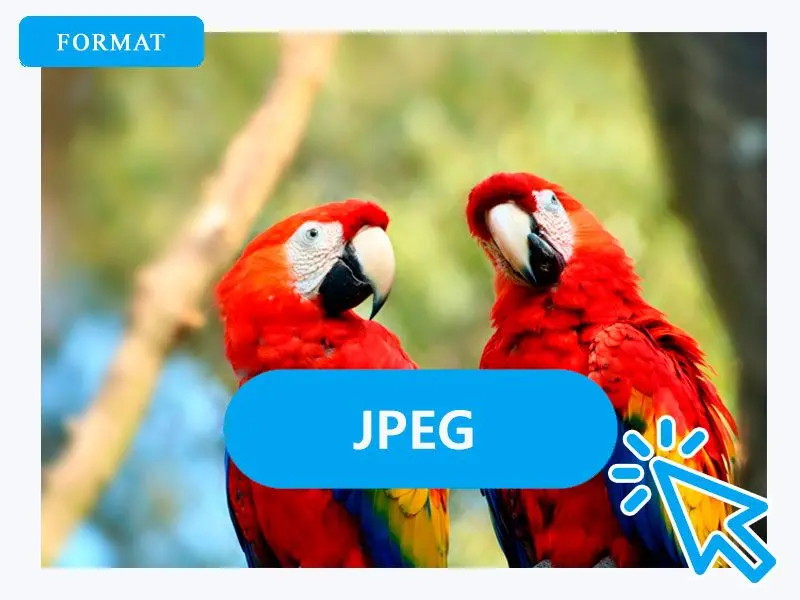 Select JPG as the Output Format.