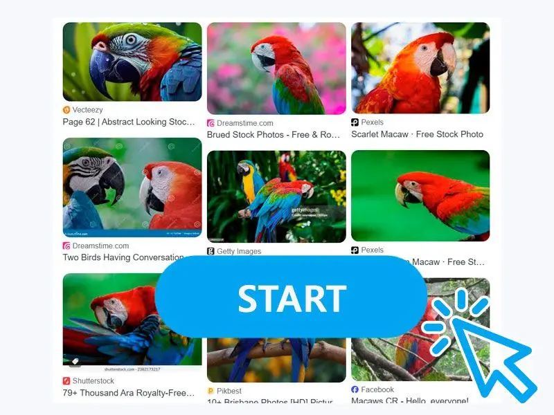 Start the Conversion.