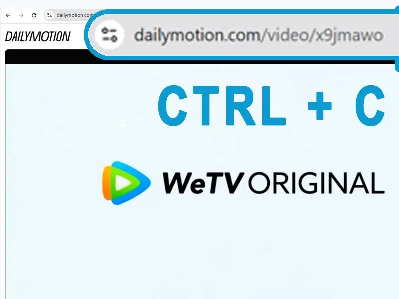 Copy & Paste the Dailymotion