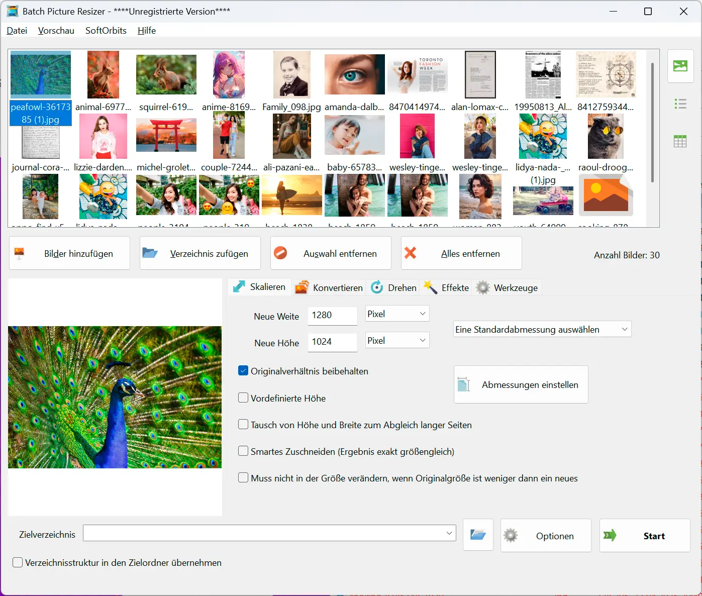 Batch Picture Resizer: Screenshot.