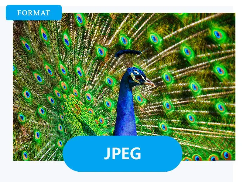 Pick JPG as an output.