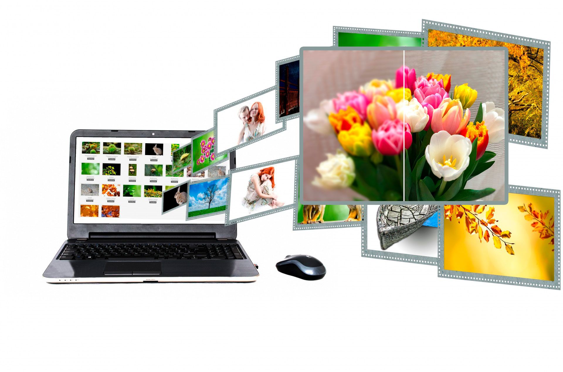 Easy photo deblur software free download
