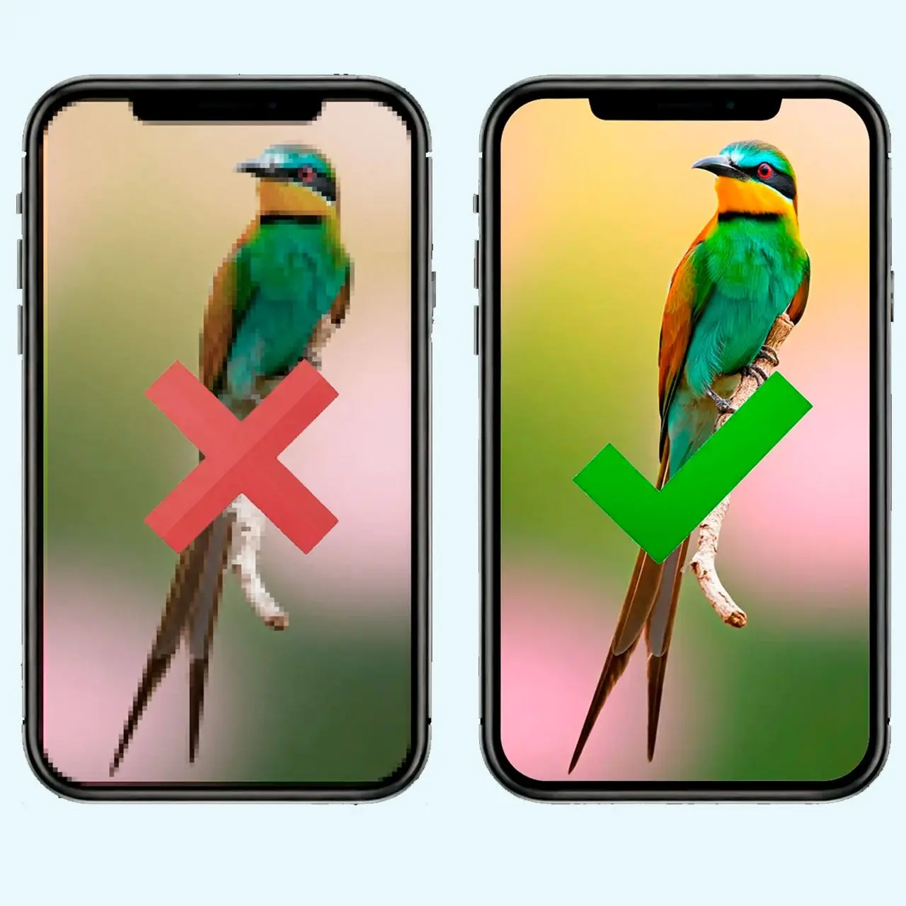 Superior Image Quality.