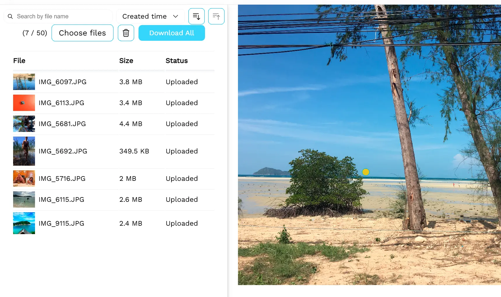 (Optional) Process More Images.