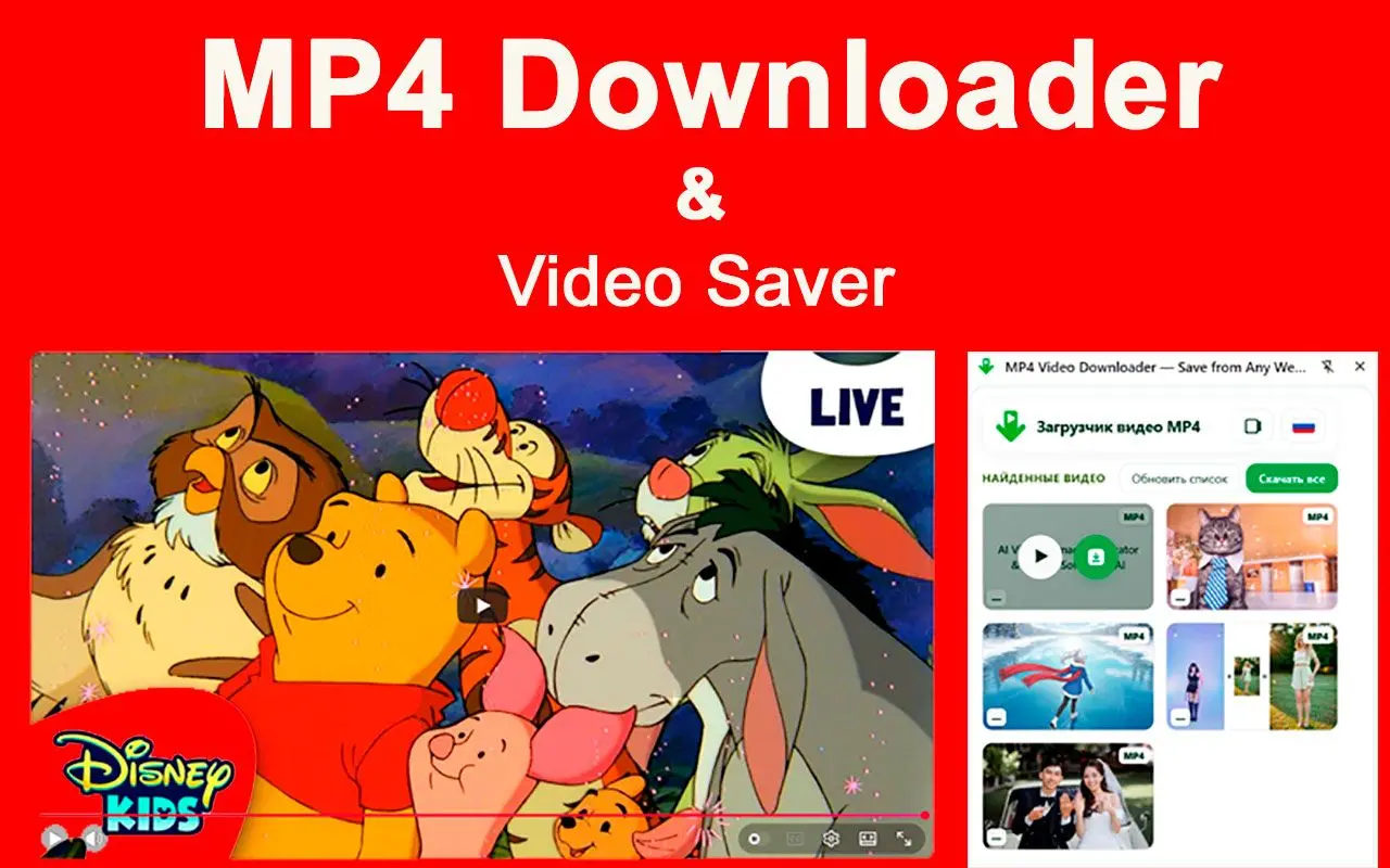 MP4 Downloader & Chrome extension limits.