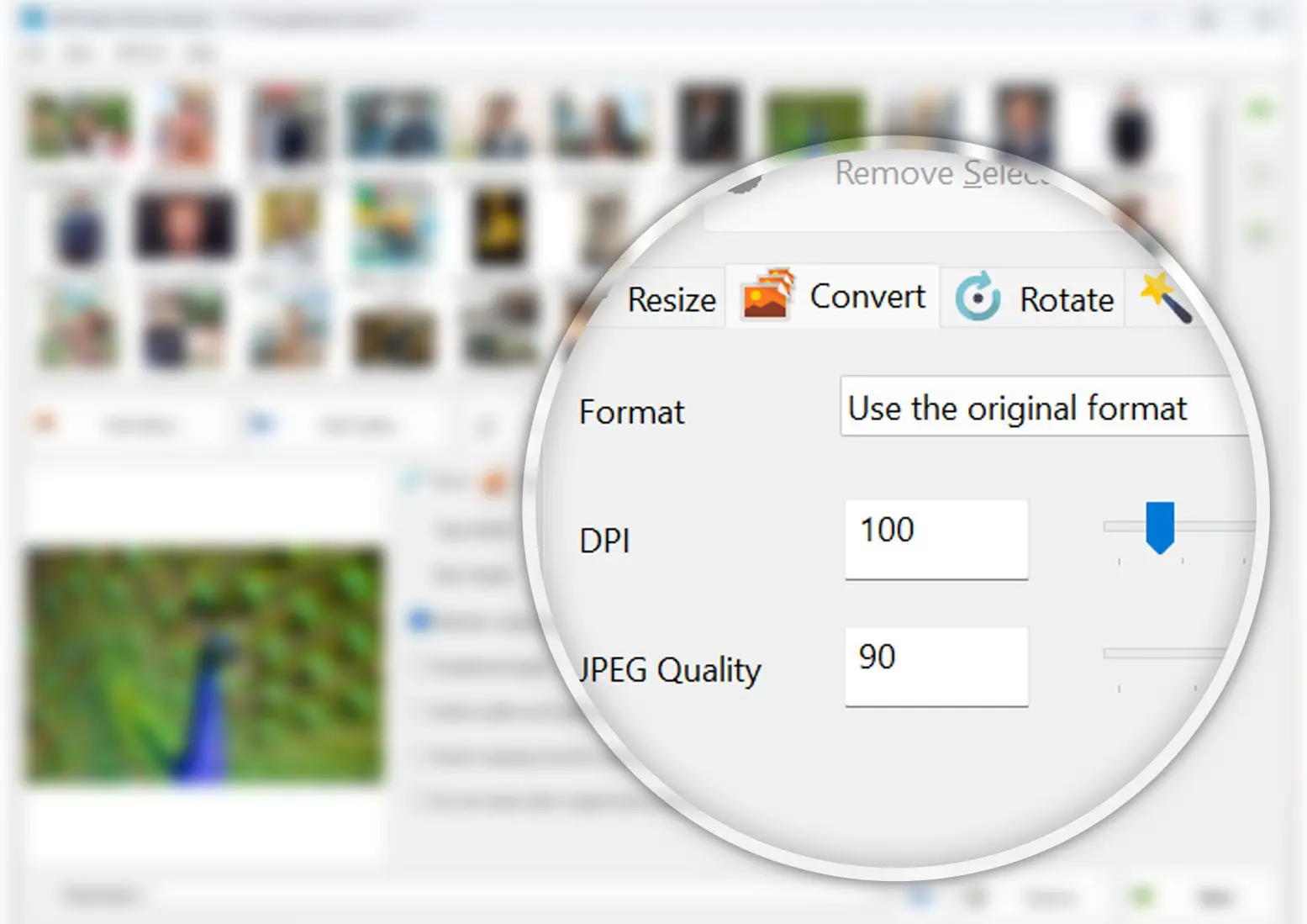 Set JPG as an output format.
